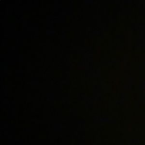 Meet your Posher, Bella